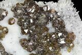 Plate Of Cleiophane (Sphalerite) Crystals - Madan, Bulgaria #79274-1